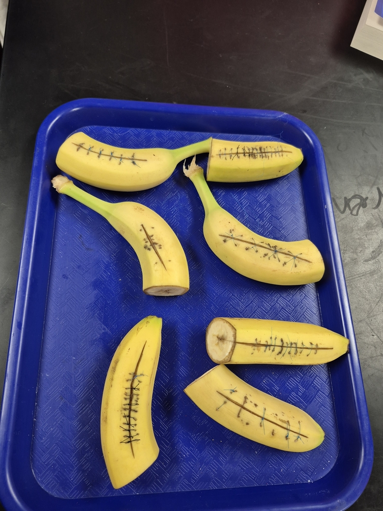 wausa Public Schools 2025