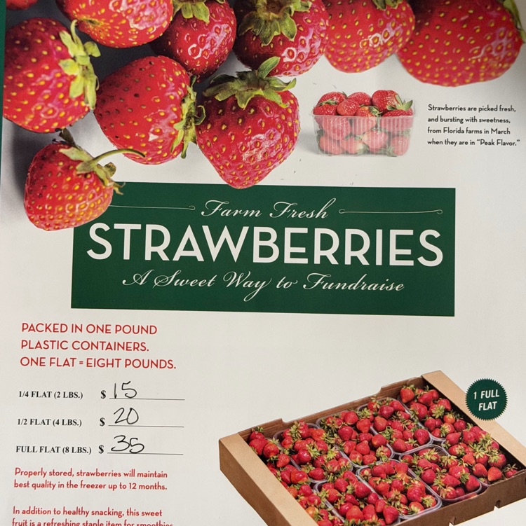 Junior Class: Strawberry Sales