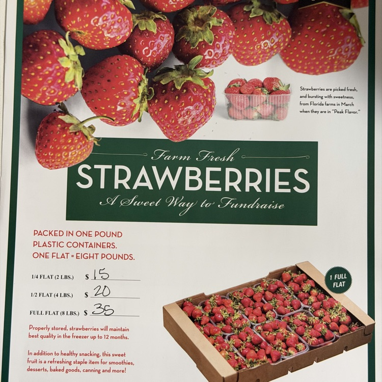 Junior Class: Strawberry Sales