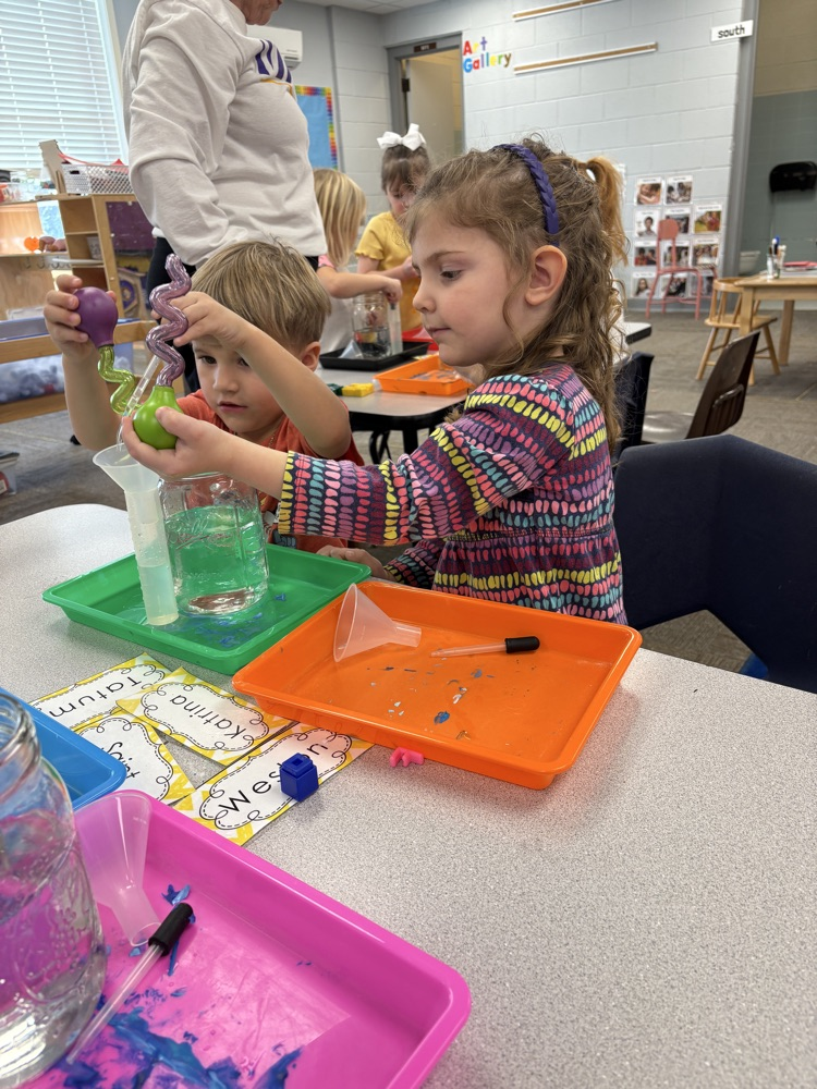 children using eye droppers to transfer water from one container to another