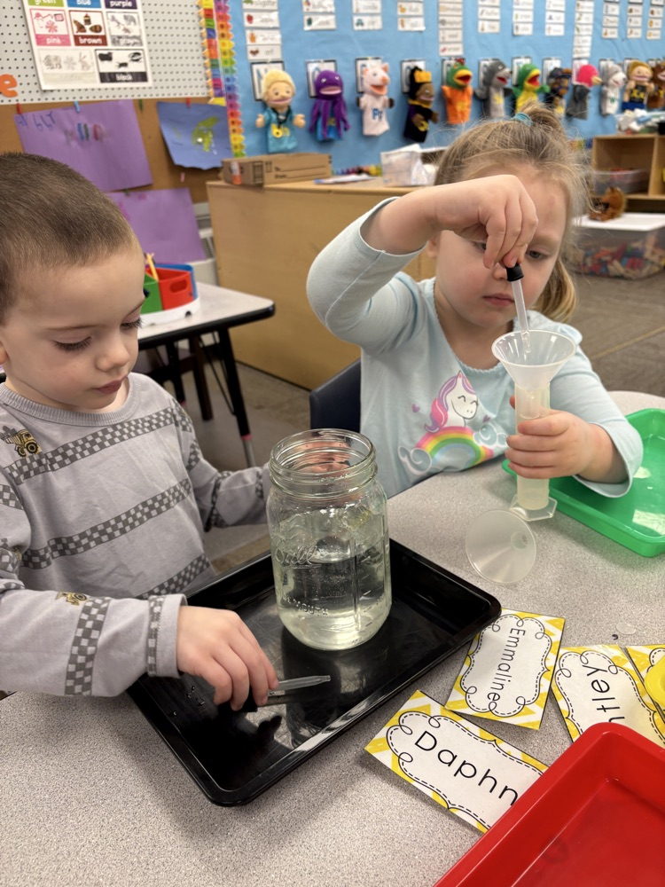 children using eye droppers to transfer water from one container to another