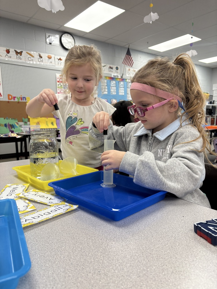 children using eye droppers to transfer water from one container to another
