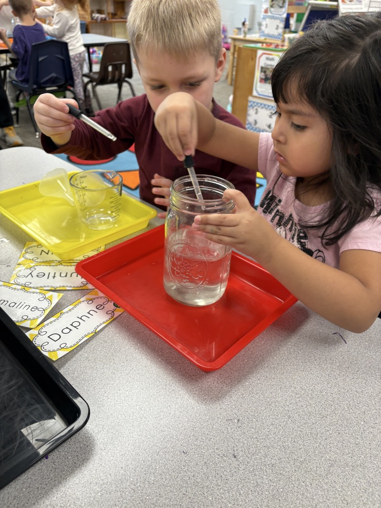 children using eye droppers to transfer water from one container to another