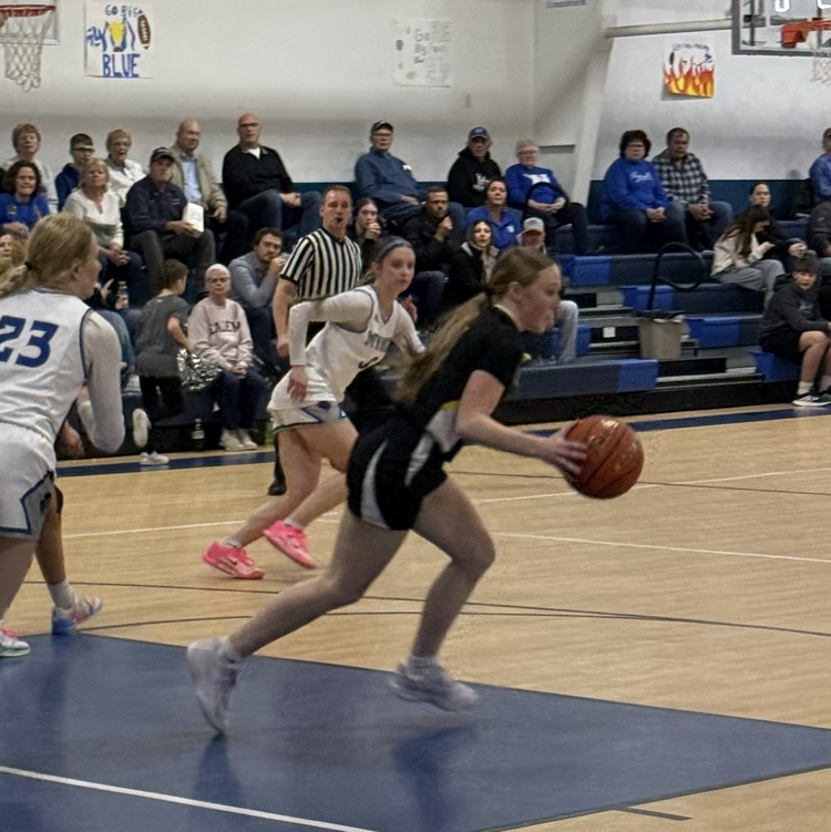sub district girls basketball 
