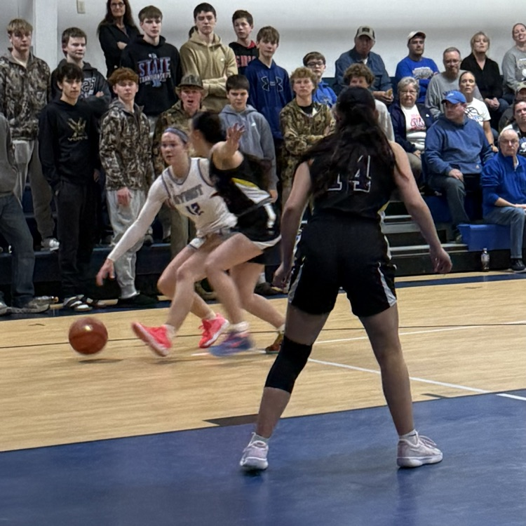 sub district girls basketball 