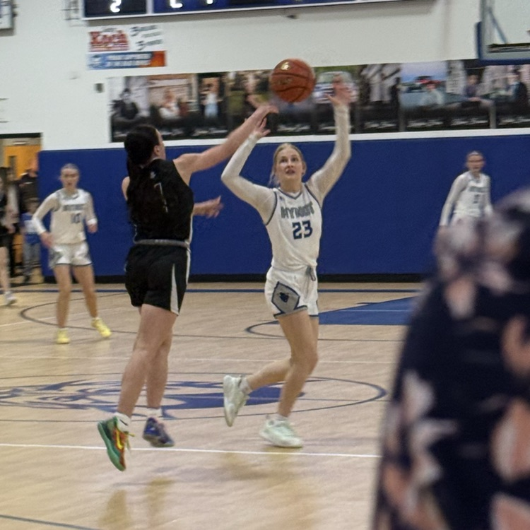 sub district basketball 