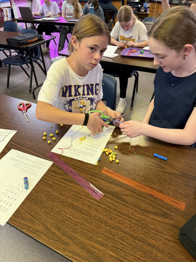 girls making model chromosomes from clay and string