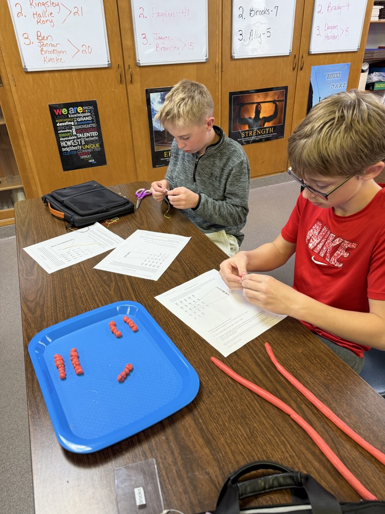 boys making model chromosomes from clay and string