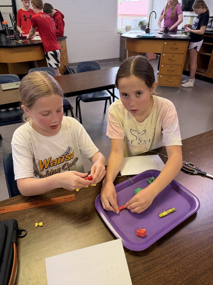 girls making model chromosomes from clay and string