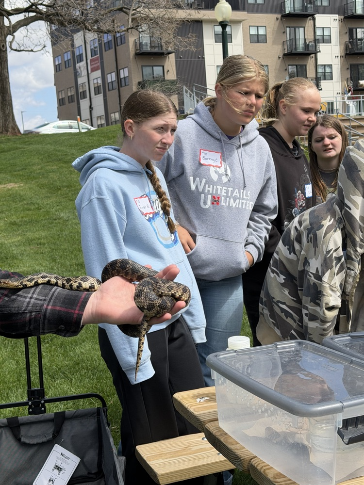 girls looking at reptiles and amphibians 