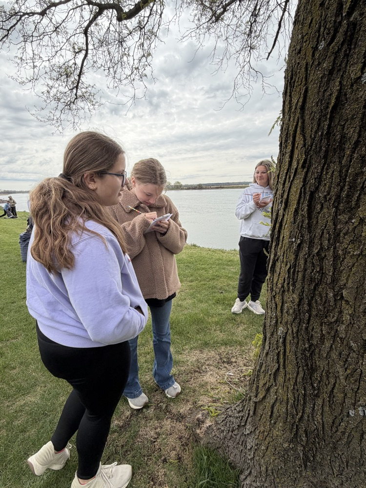 girls studying the micro habitat of a tree
