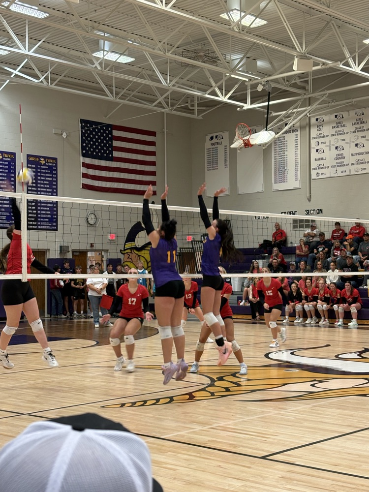 lady Vikes on the block