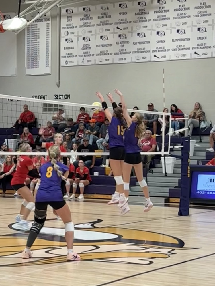 Vikings block