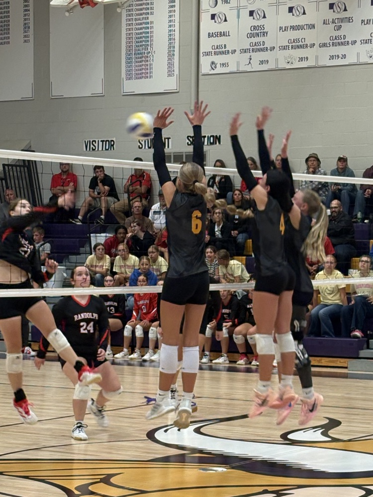 Viking Block