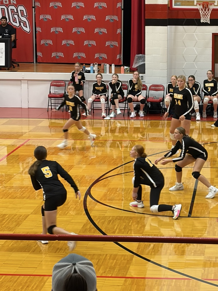 Ali P with the pass