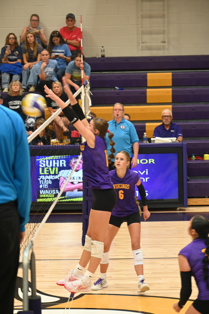 Wausa Vikings
