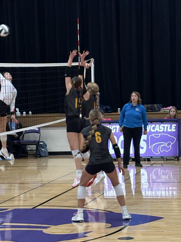 Viking block