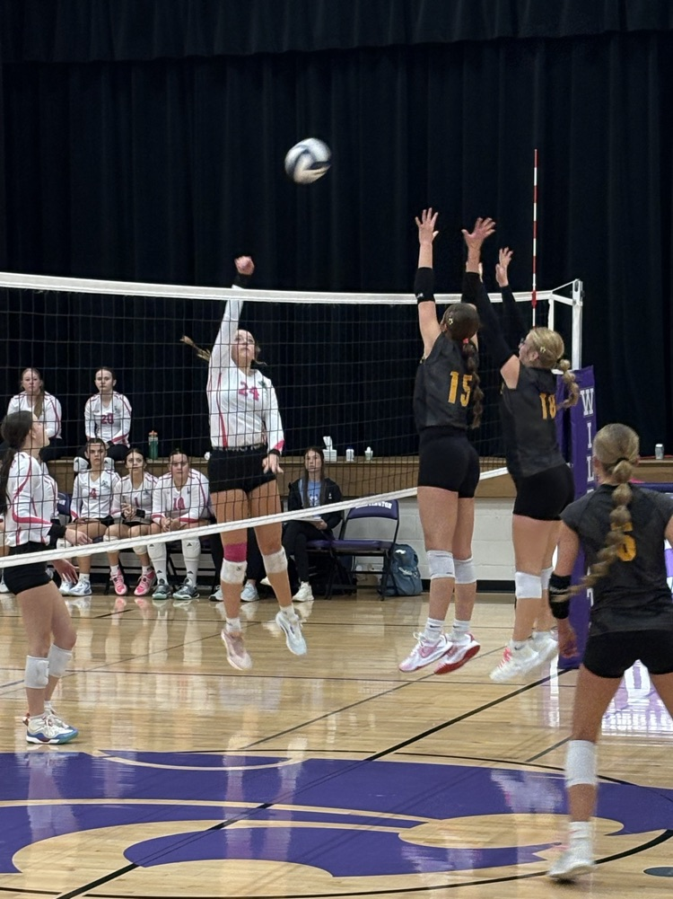 Viking block 