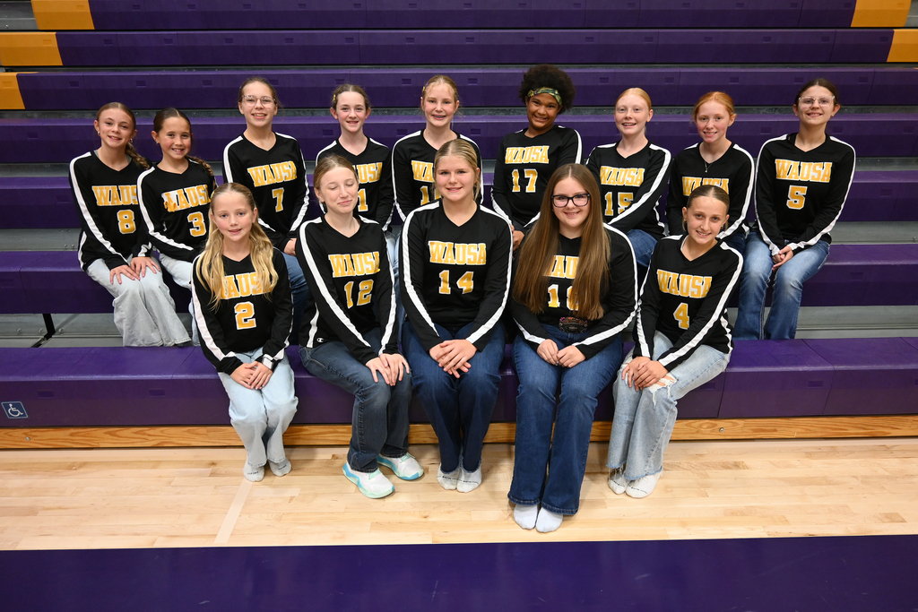 Junior High Volleyball 2026