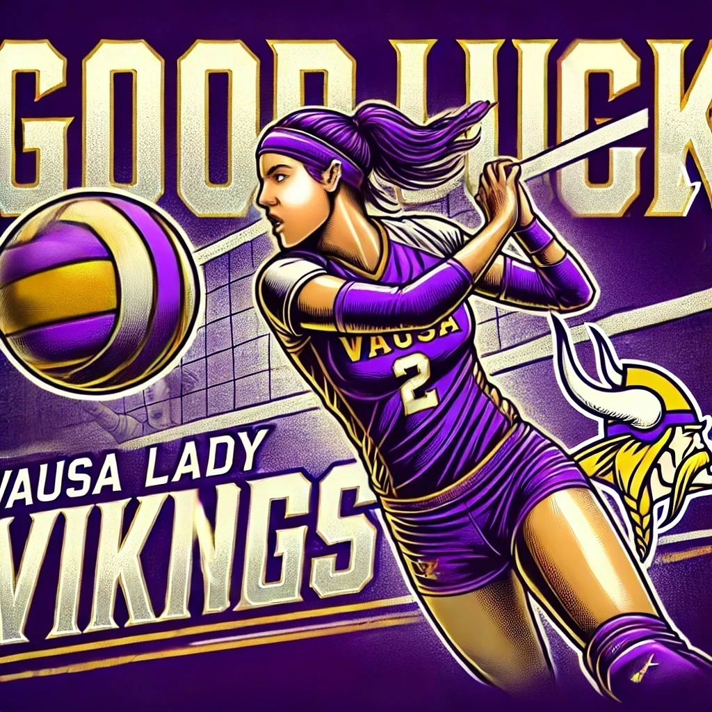 Good Luck Lady Vikes!