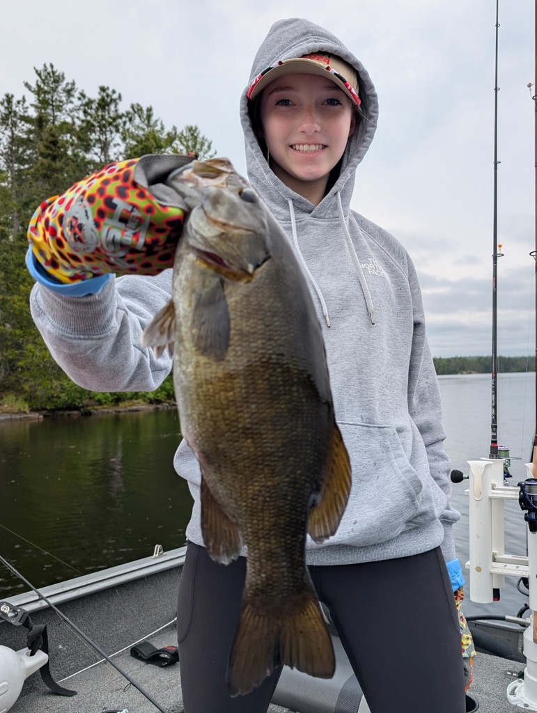 Fish