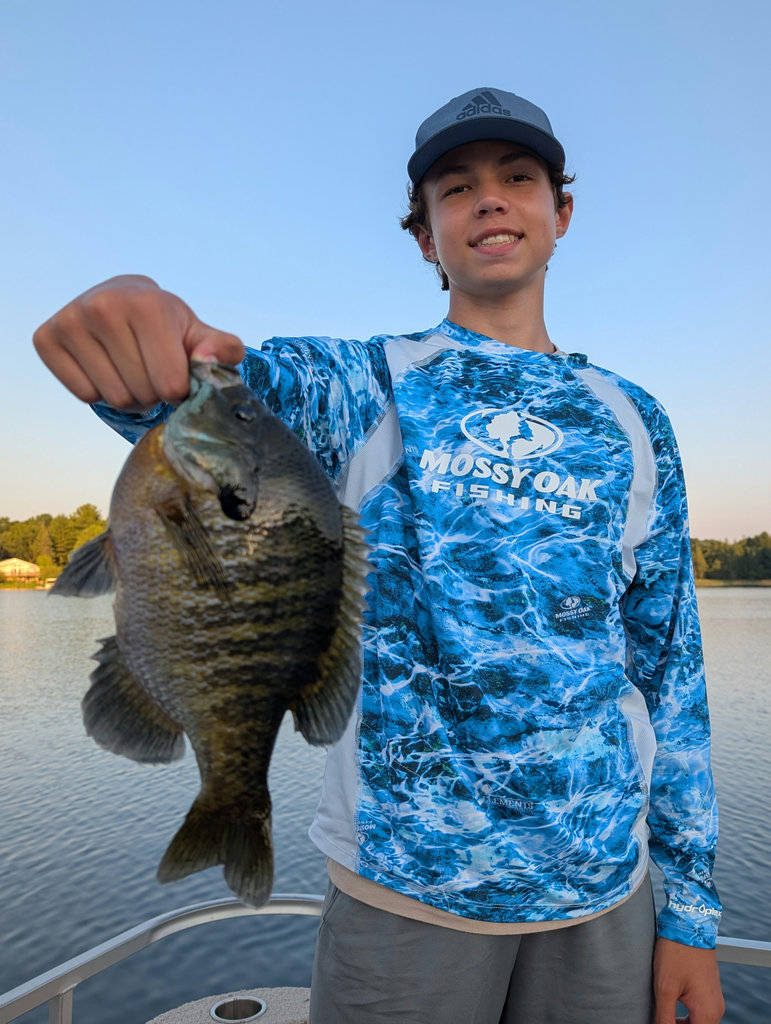 Fish