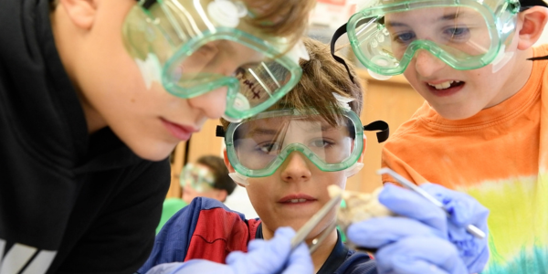 photo of students wearing safety goggles dissecting a cow's eye