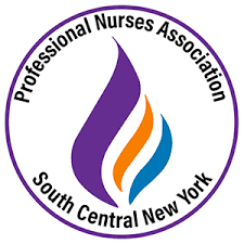 Professional Nurses Association Schollarship