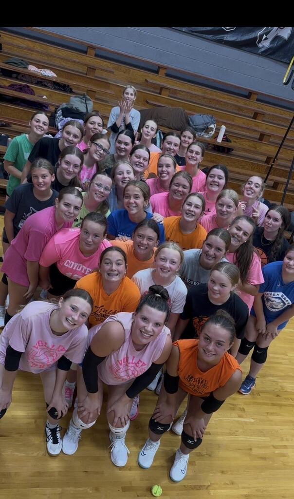 Volleyball