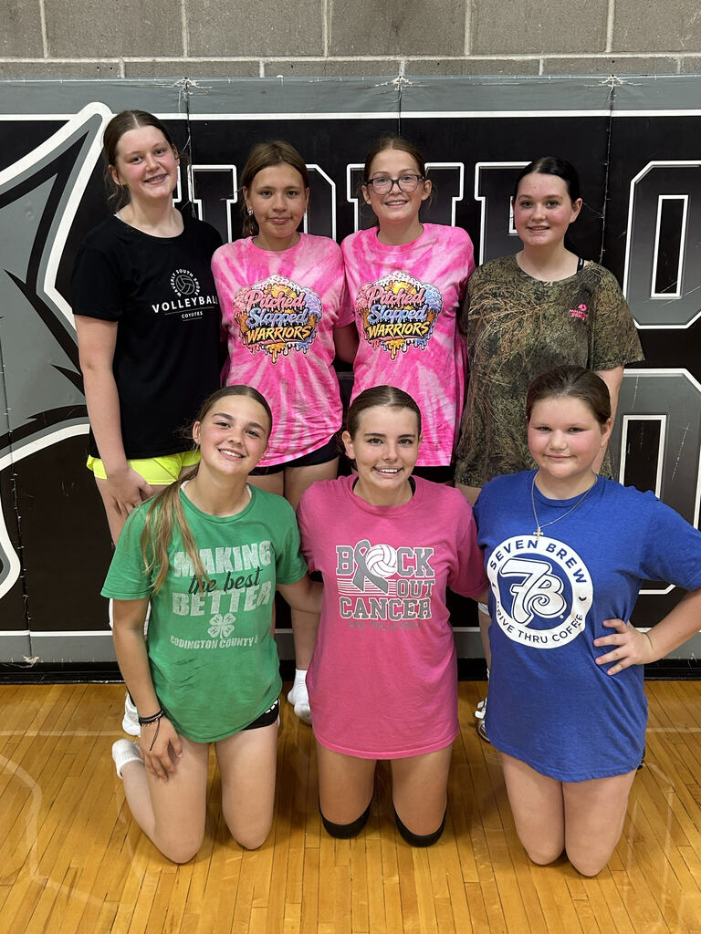 Volleyball