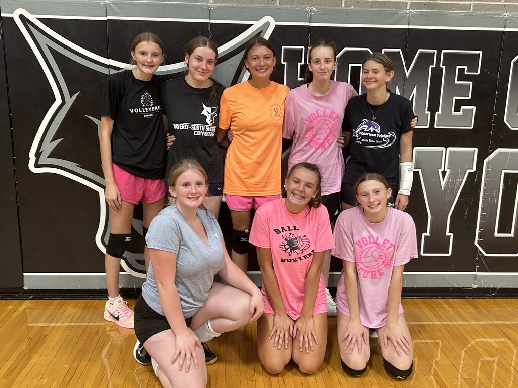 Volleyball