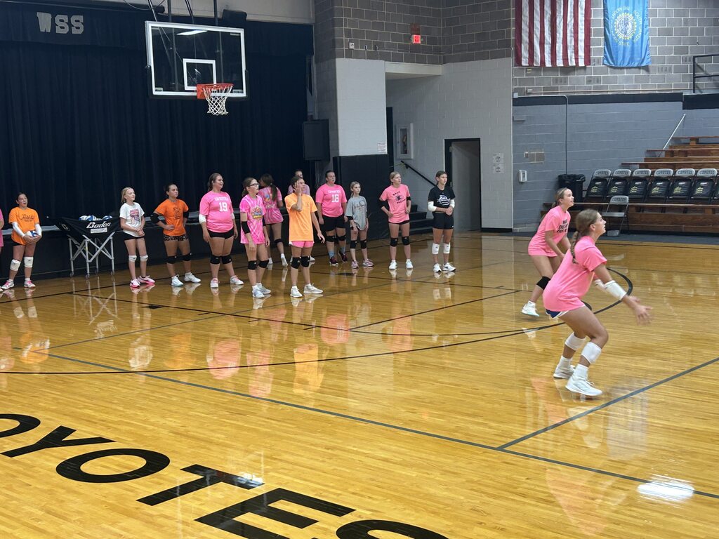 Volleyball