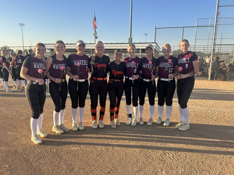Hastings softball
