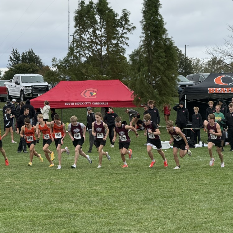 xc