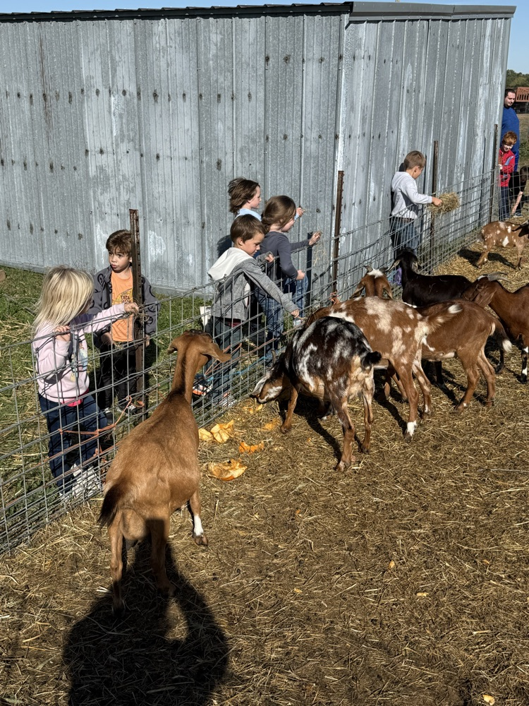 farm
