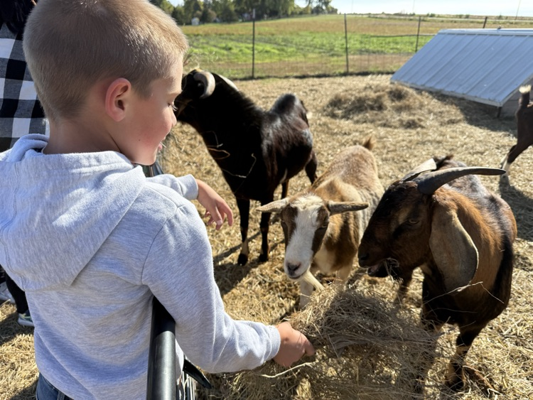 farm