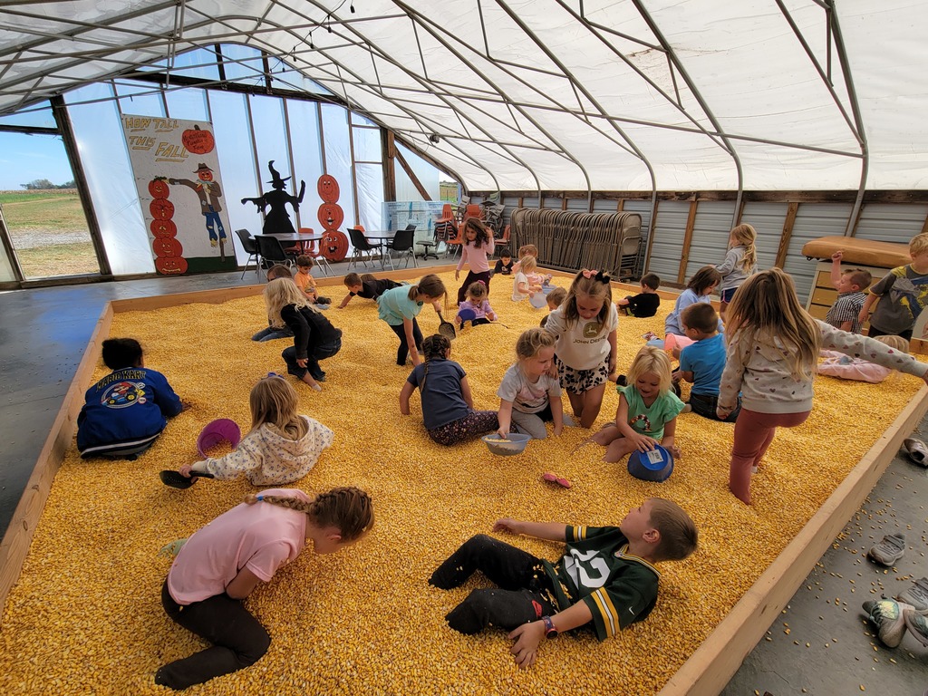 Corn Fun!