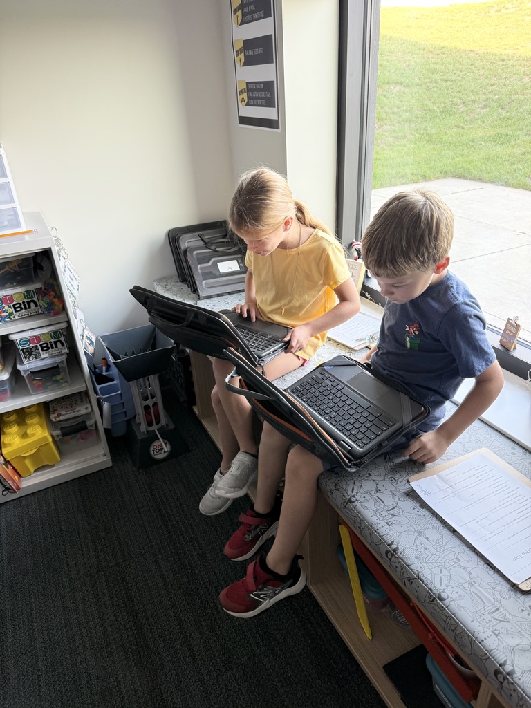 Ellis island activity