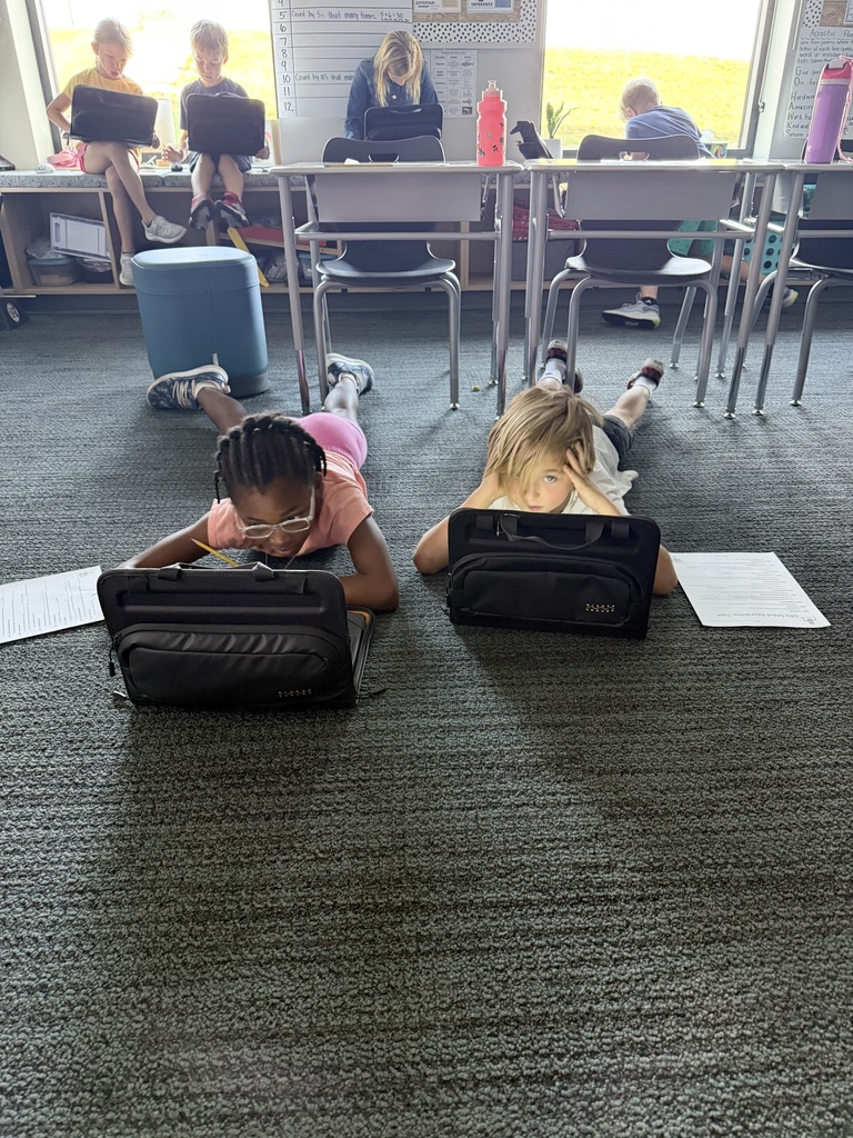 Ellis island activity