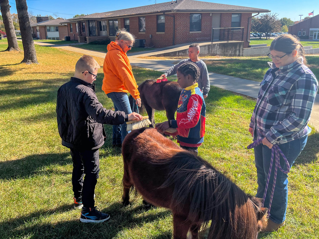 Three children brushing mini horses
