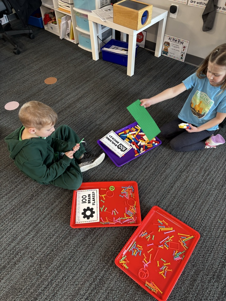 STEM building challenge—What can you build with 100 items?