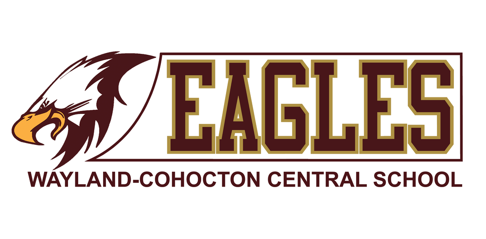 Eagles banner