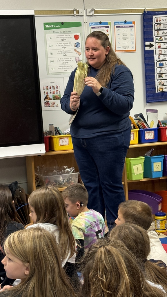 Learning about the different parts of corn