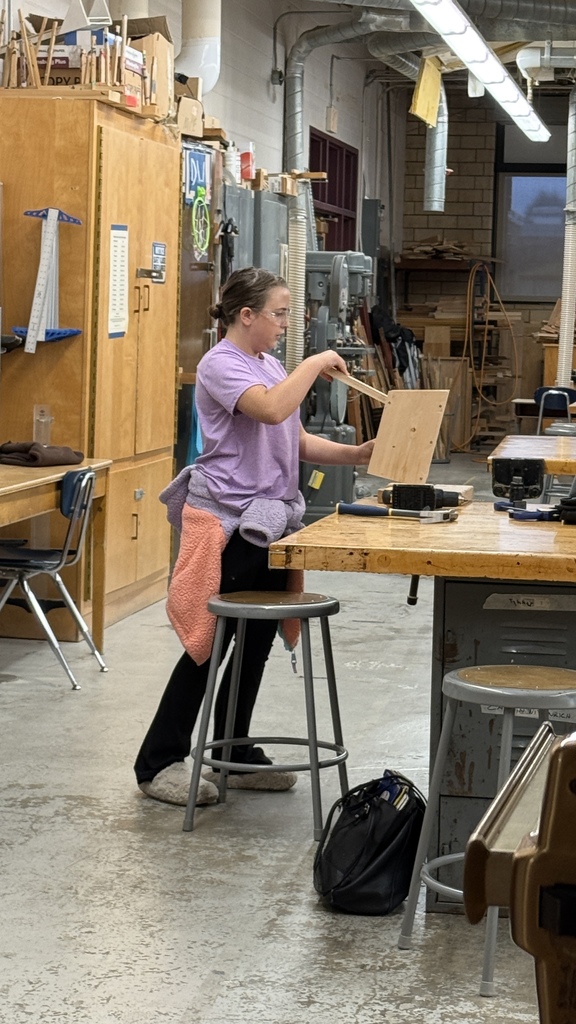 Building birdhouses in MS technology.