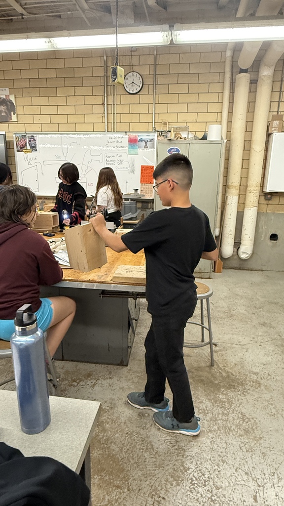 Building birdhouses in MS technology.