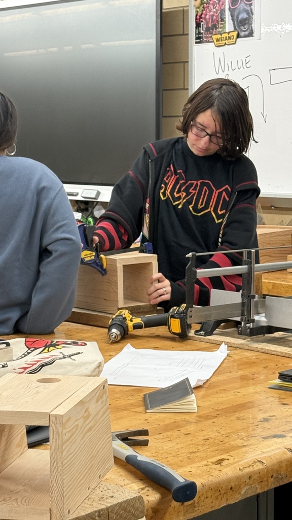 Building birdhouses in MS technology.