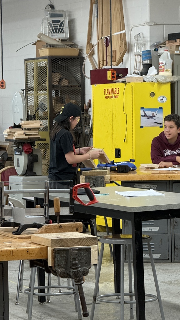Building birdhouses in MS technology.