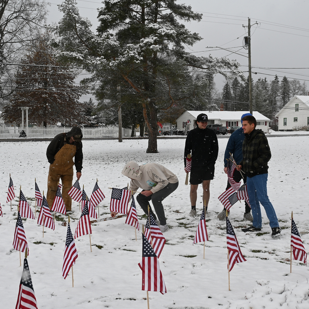 Wayland-Cohocton Students Honor Veterans with Field of Flags
