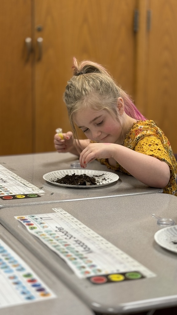 Making a careful study of the specimens.