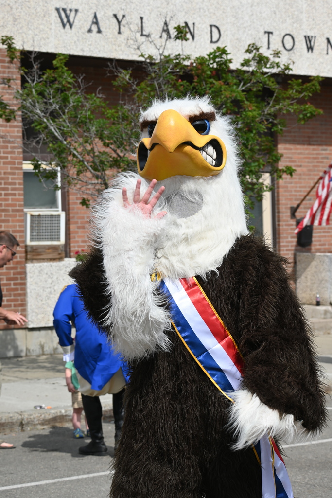 Eagle on Parade